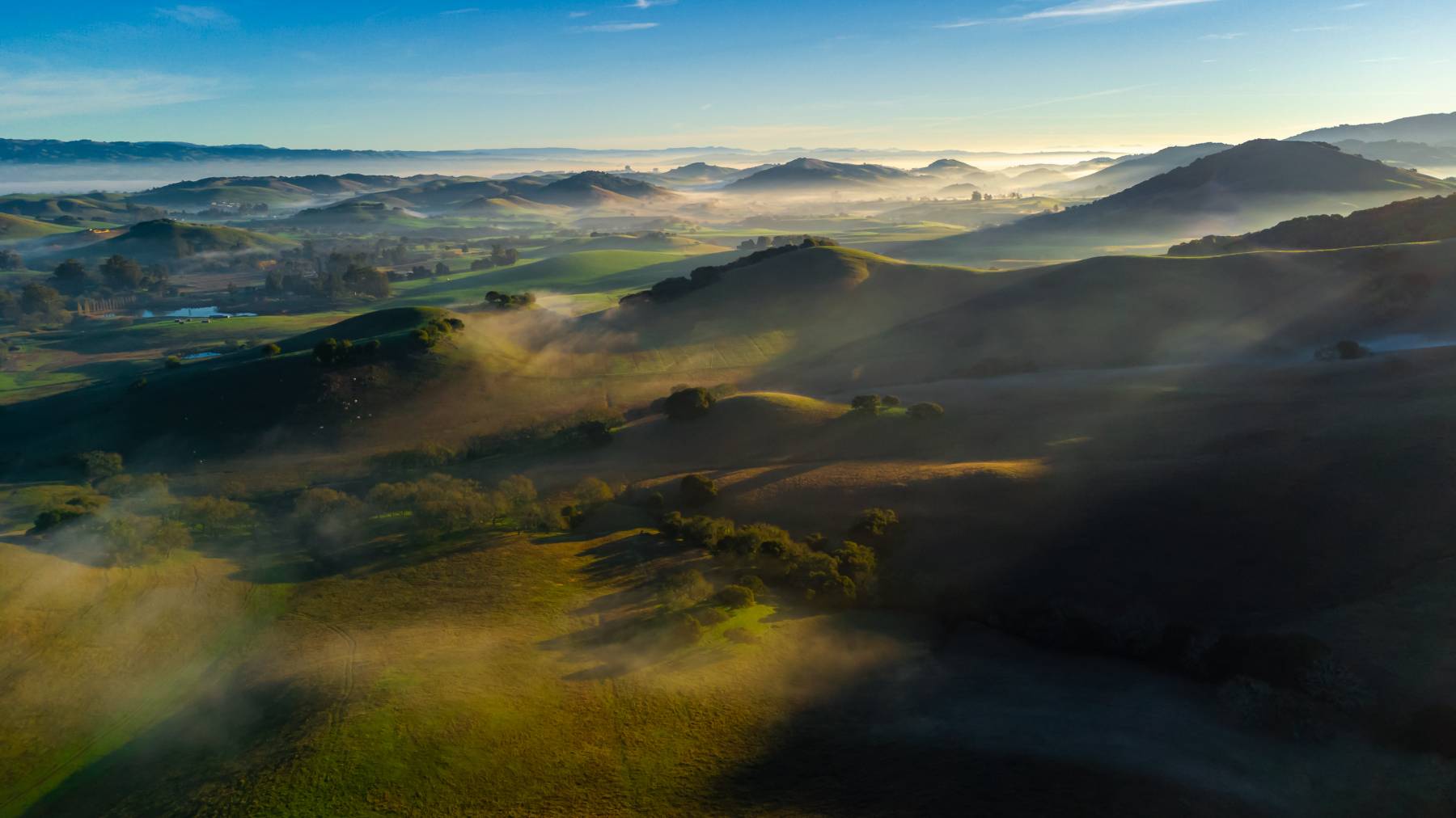 Petaluma Gap hills at dawn